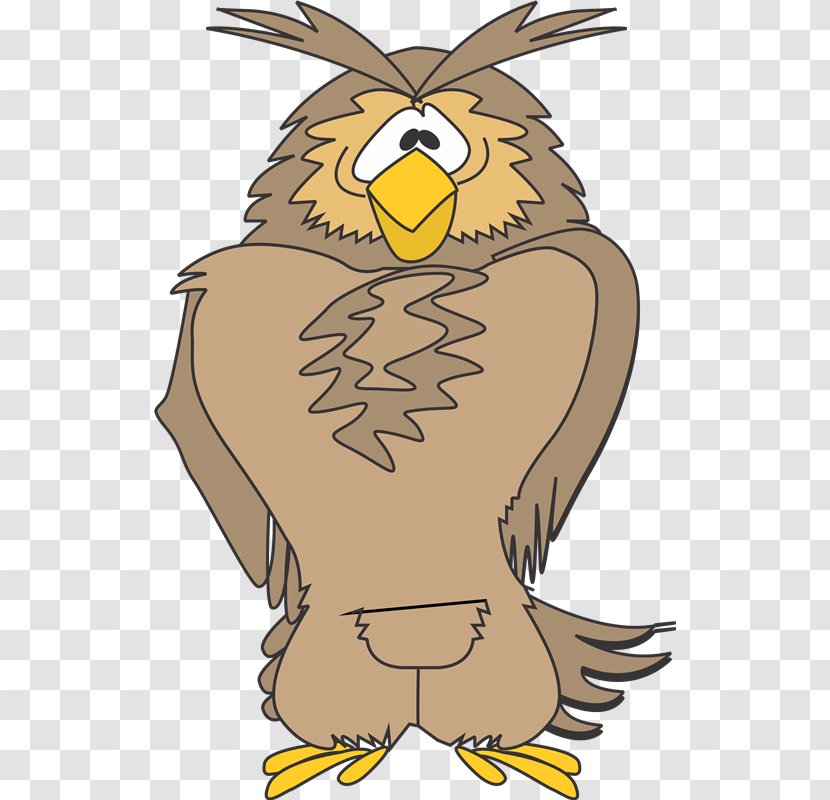 Owl Eagle Hawk Beak Clip Art - Bird Of Prey - Ty Transparent PNG