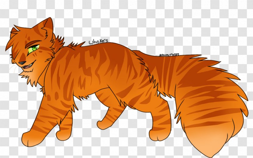 Whiskers Tiger Cat Lion Digital Art Transparent PNG