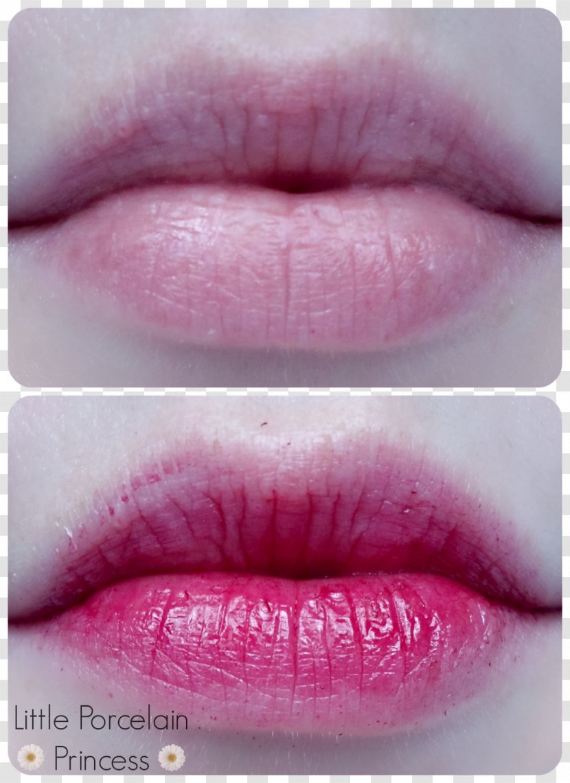 Lip Stain Gloss Lipstick 페리페라 - Tint Transparent PNG