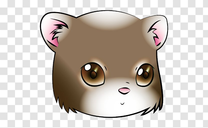 Whiskers Cat Bear Snout Dog - Like Mammal Transparent PNG