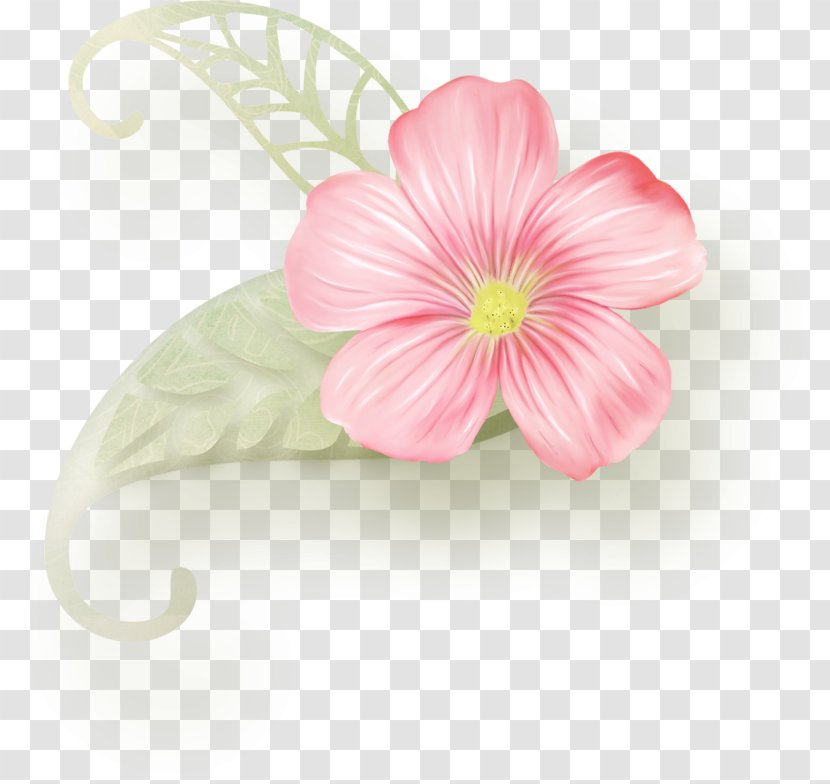 Floral Design Cut Flowers Album - Pink Transparent PNG