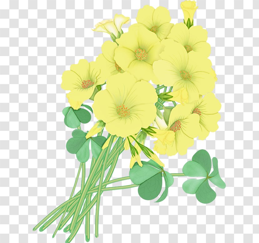 Flower Flowering Plant Yellow Clip Art - Petal - Bouquet Leaf Transparent PNG