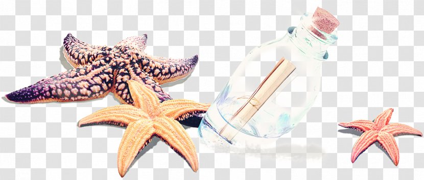 Starfish Drawing - Hand-painted Creative Transparent PNG
