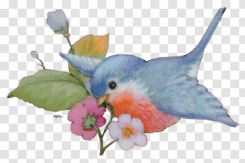 Beak Parrot Feather - Valentine Decoration Transparent PNG