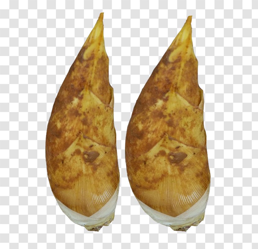 Bamboo Shoot Vegetable - Upload - Two Shoots Transparent PNG