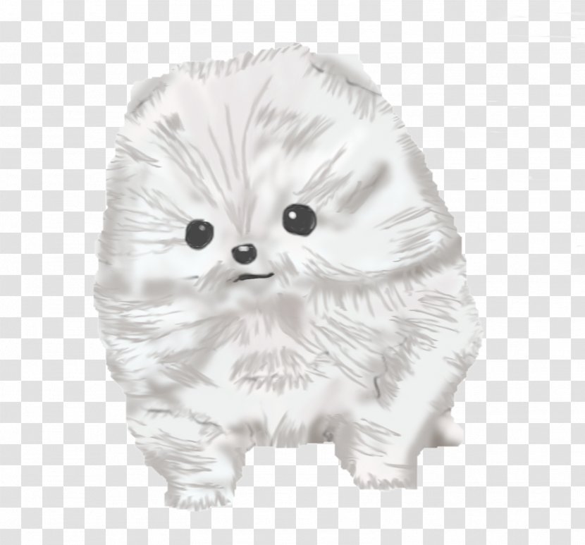 Whiskers Pomeranian Dog Breed Puppy Scootaloo - Mammal - Drawing Transparent PNG