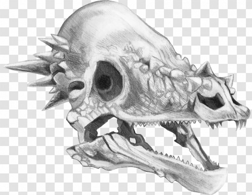 Pachycephalosaurus Tyrannosaurus Triceratops Skull Drawing - Automotive Design - Dragon Transparent PNG