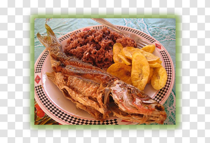 Honduran Cuisine Food Recipe Dish Fish - National Transparent PNG