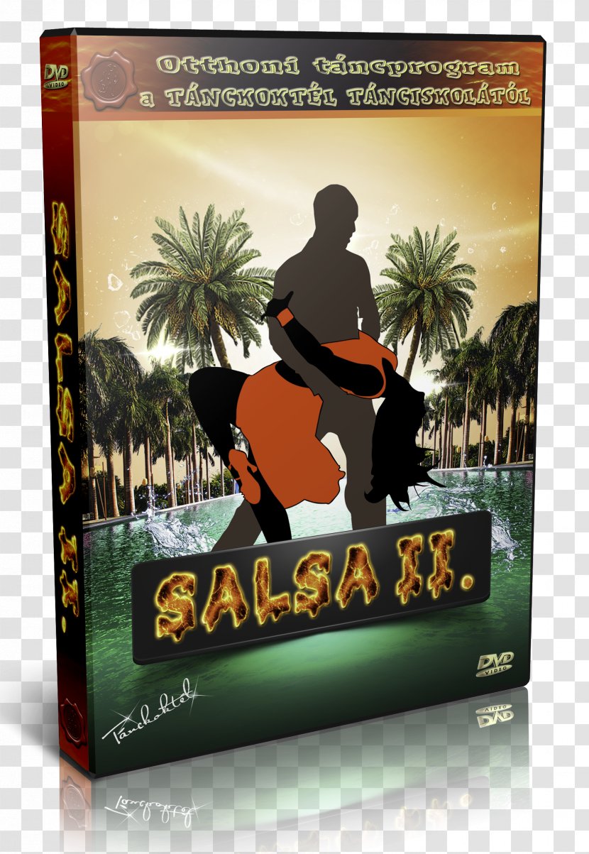 DVD Dance Salsa Compact Disc Caribbean - Hungarians - Dvd Transparent PNG