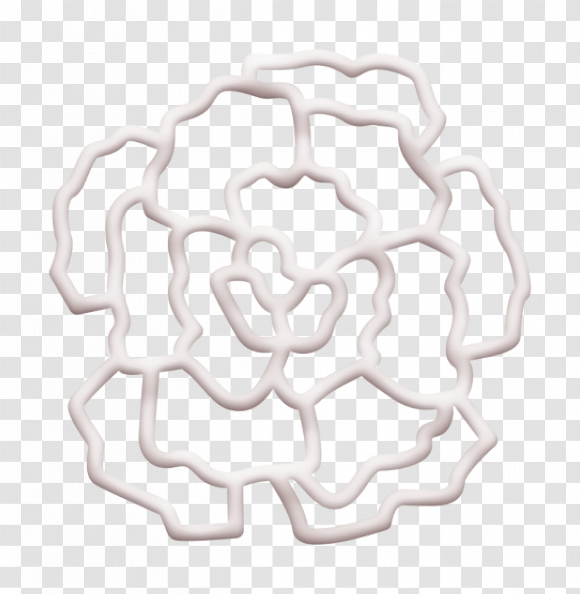 Carnation Icon Flowers Icon Flower Icon Transparent PNG
