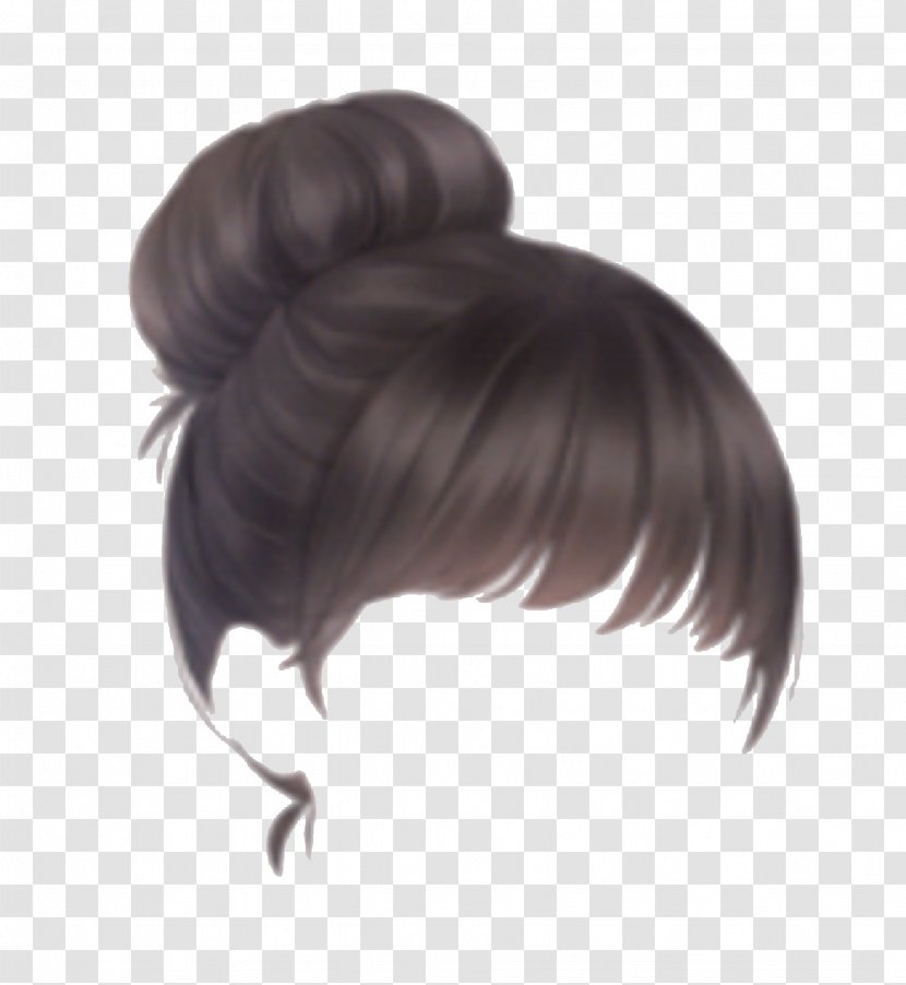 Bun Hairstyle Brown Hair Transparent PNG