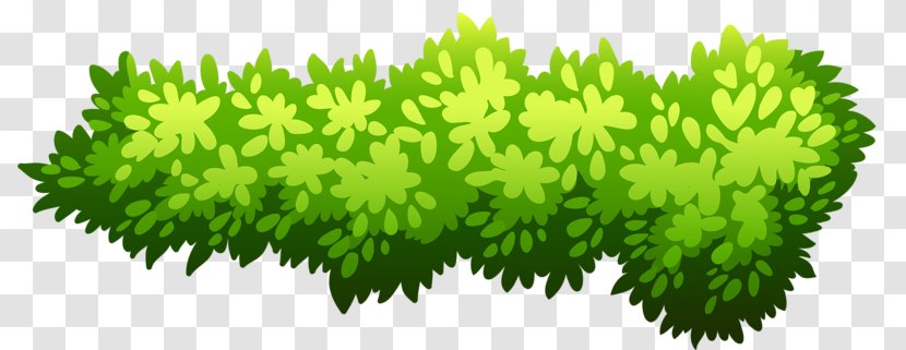 Shrub Illustration - Green - Bush Transparent PNG