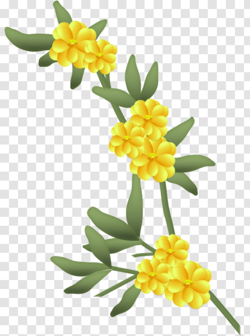 Flower Drawing Clip Art - Yellow Transparent PNG