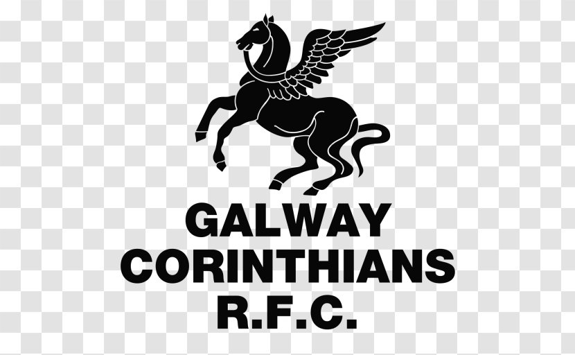 Galway Corinthians RFC Connacht Rugby Sligo Transparent PNG