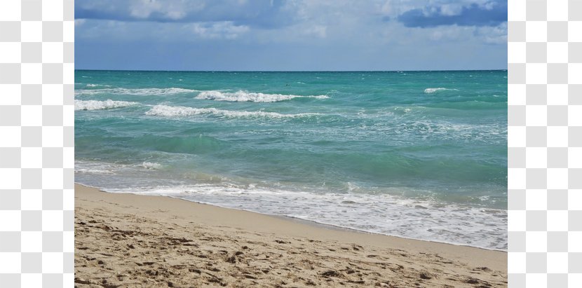 Beach Shore Sand Wind Wave Sea - Horizon Transparent PNG