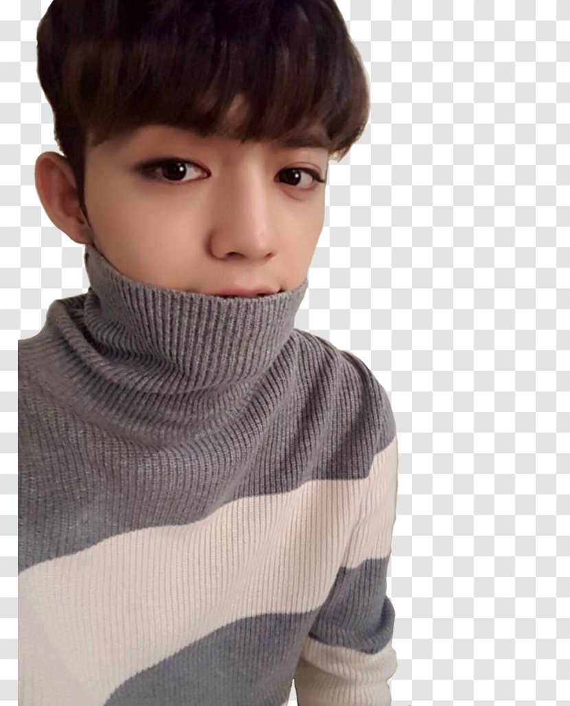 S.Coups Seventeen Pledis Entertainment K-pop Seoul - Male - Wonwoo Transparent PNG