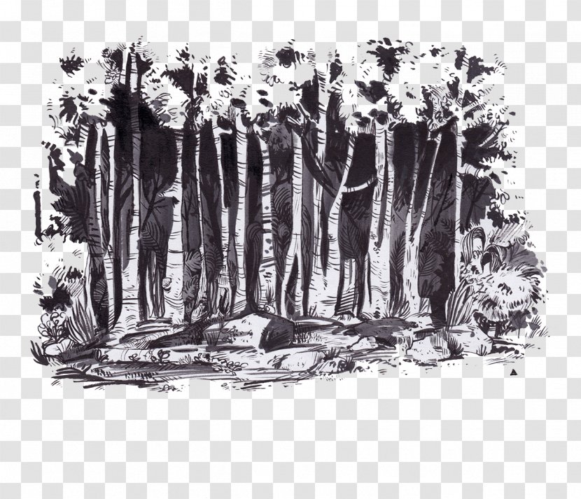 T-shirt Forest Icon - Black And White Transparent PNG