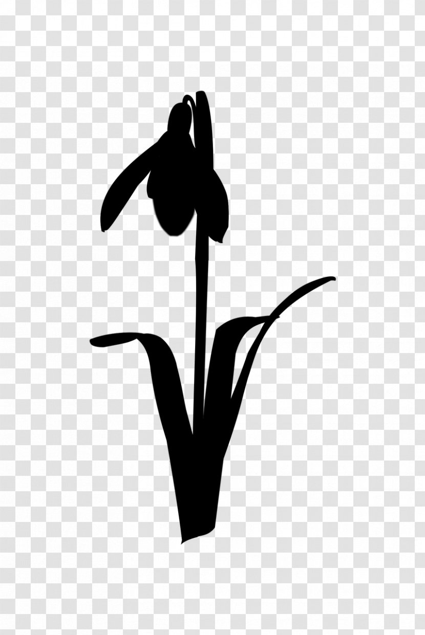 Beak Clip Art Flower Leaf Plant Stem - Monochrome - Blackandwhite Transparent PNG