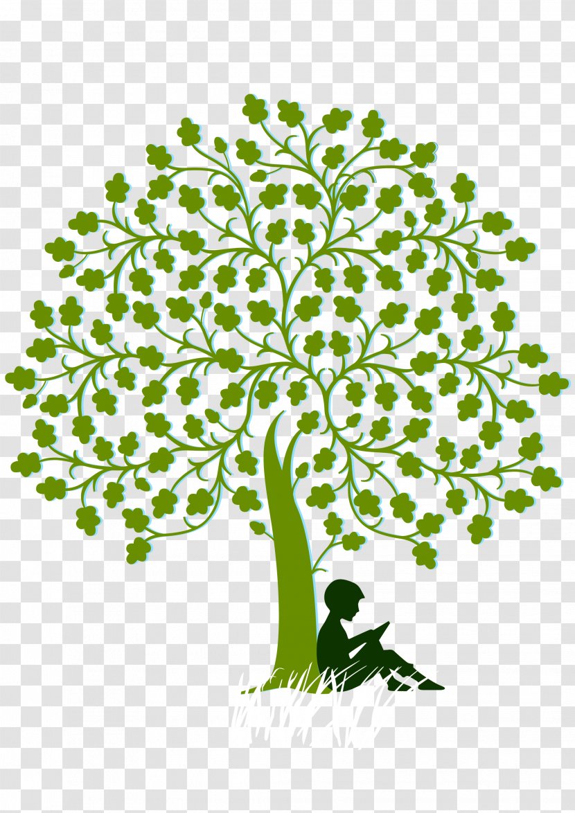 Paper Wall Decal Sticker - Plant - Money Tree Transparent PNG