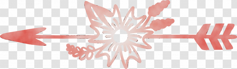 Pink Pattern Petal Plant Flower Transparent PNG