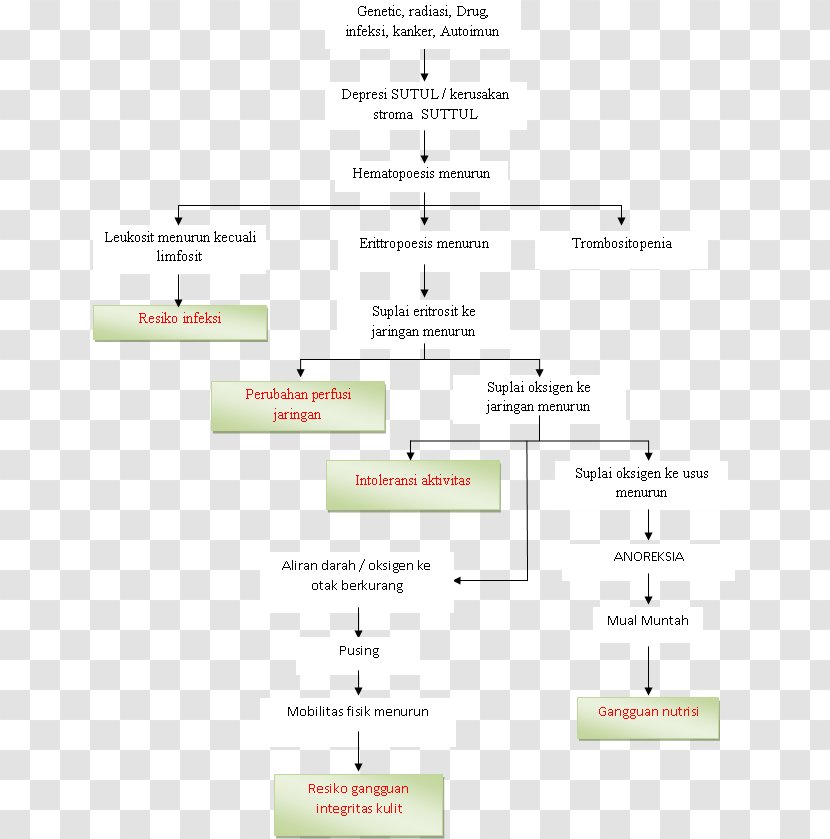 Document Line Angle Transparent PNG