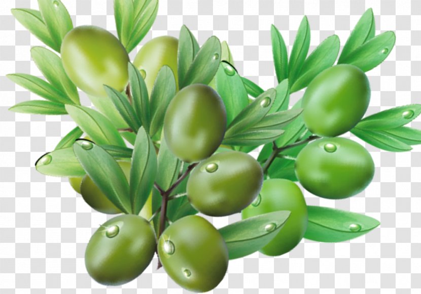 Jujube Crisp Dried Fruit Dates - Tree - New Year Hair Qingzao Transparent PNG