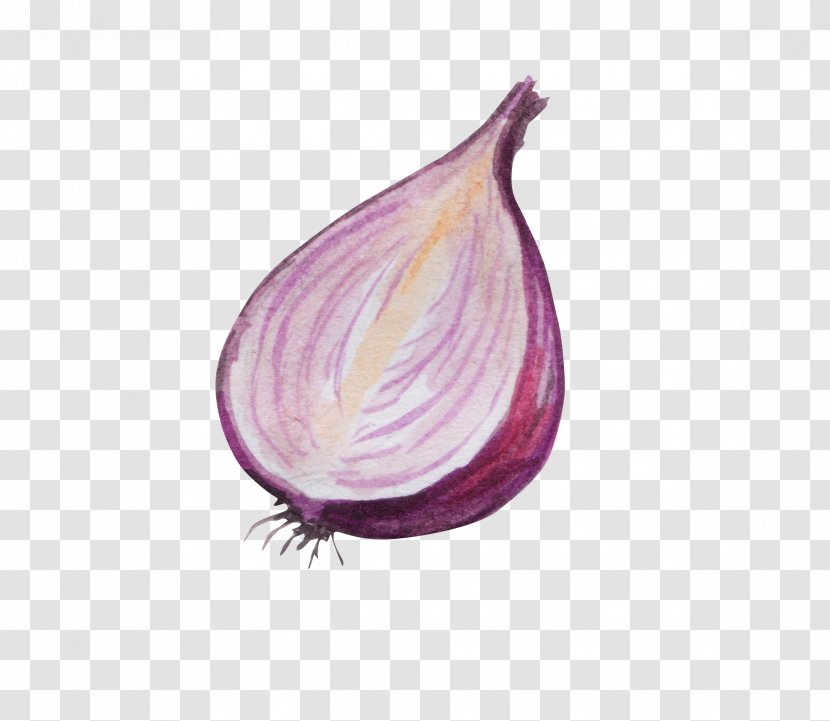 Red Onion Vegetable Gratis - Purple - Cut Onions Transparent PNG
