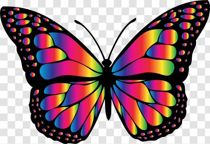 Monarch Butterfly T-shirt Tourette Syndrome Clip Art - Brush Footed - Rainbow Transparent PNG