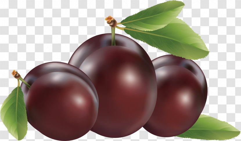 Plum Clip Art - Apple - Image Transparent PNG