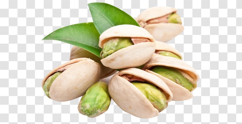 Pistachio Hazelnut Cashew Pecan - Walnut Transparent PNG