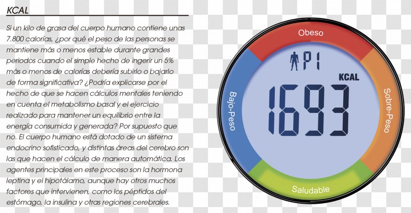 Calorie Energy Pedometer Demand State - Woman Transparent PNG