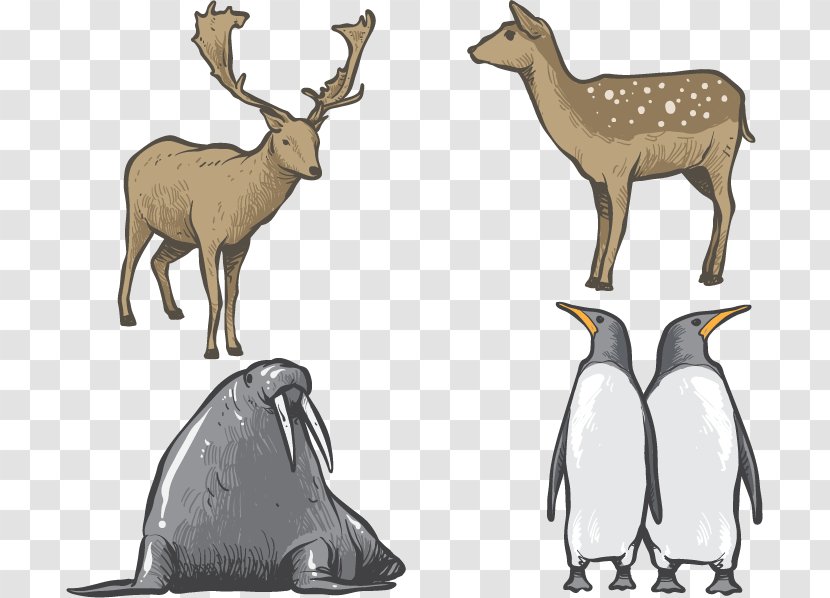 Hand-painted Animals - Flightless Bird - Elk Transparent PNG