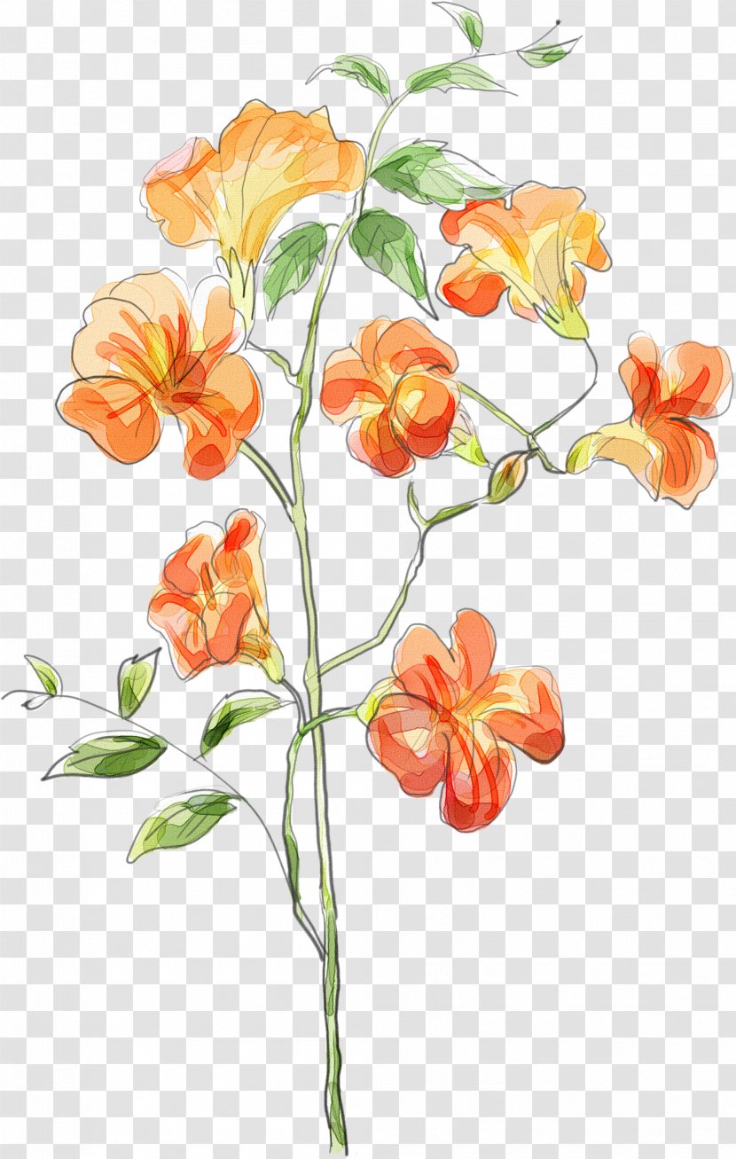 Watercolor Painting Image Vector Graphics Orange - Floral Design Transparent PNG