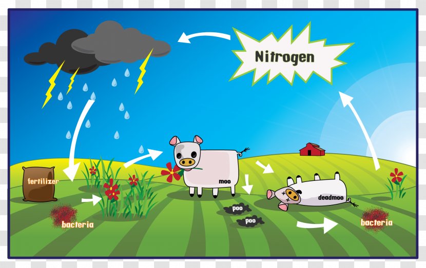 The Nitrogen Cycle Biology Fixation - Art - Gasification Transparent PNG