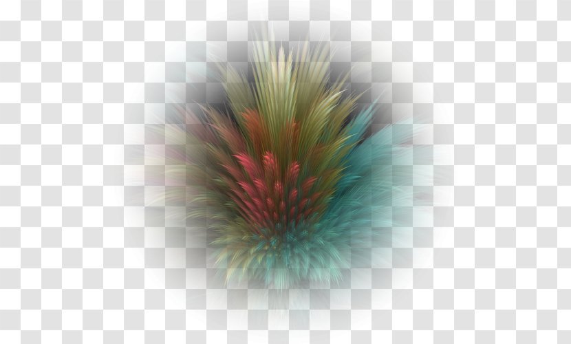 Grass Background - Plant - Fur Feather Transparent PNG