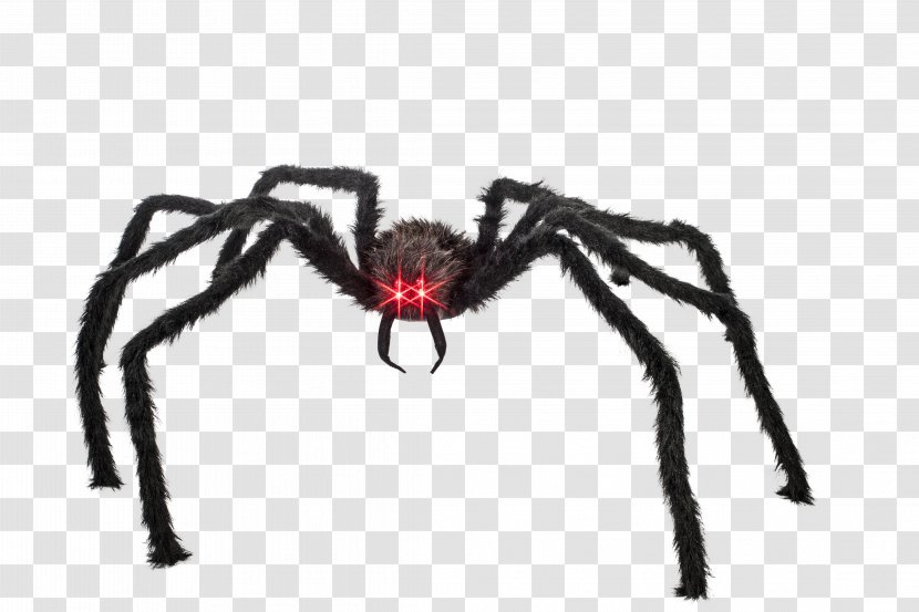 Spider Halloween Film Series Tarantula Game - Arachnid Transparent PNG