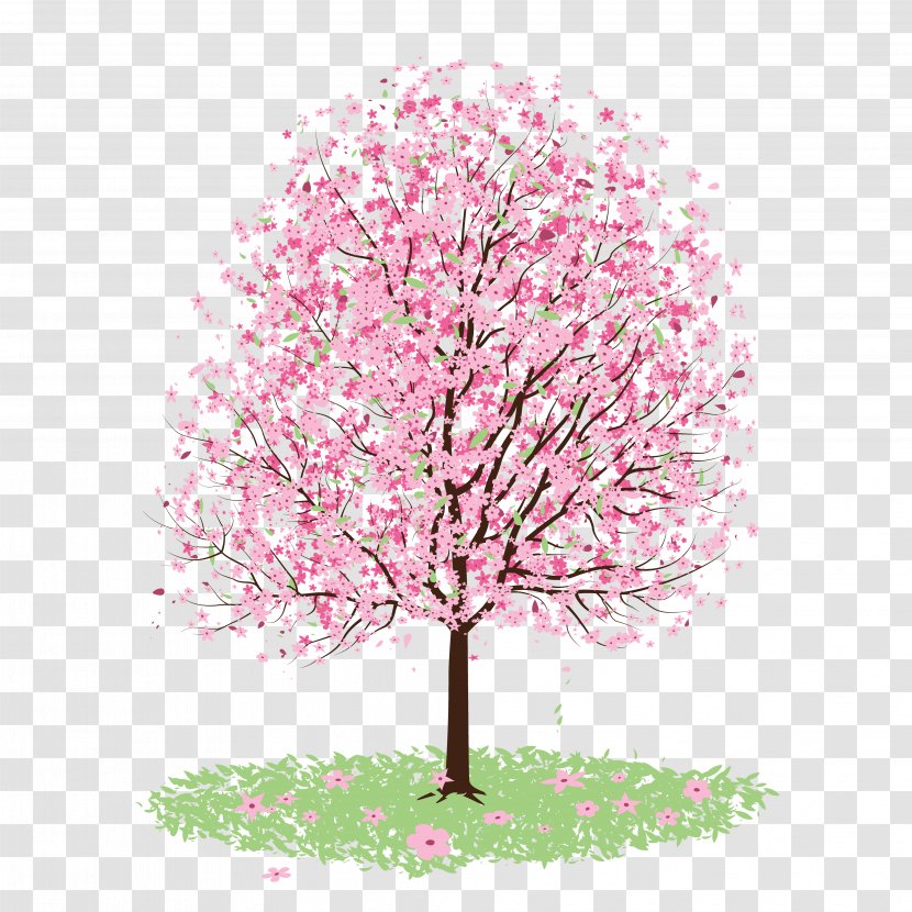 Cherry Blossom - Spring - Japanese Transparent PNG