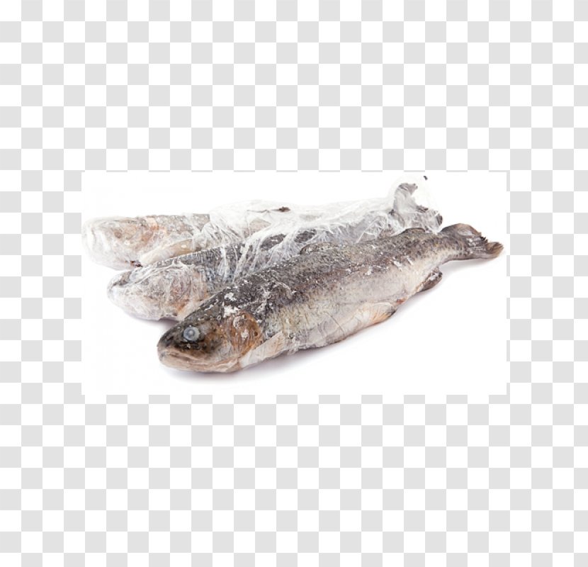 Rainbow Trout Dried And Salted Cod Oily Fish Salmon - Mackerel Transparent PNG