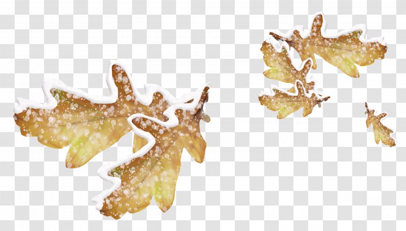 Leaf Snow Icon - Blog - Leaves Transparent PNG