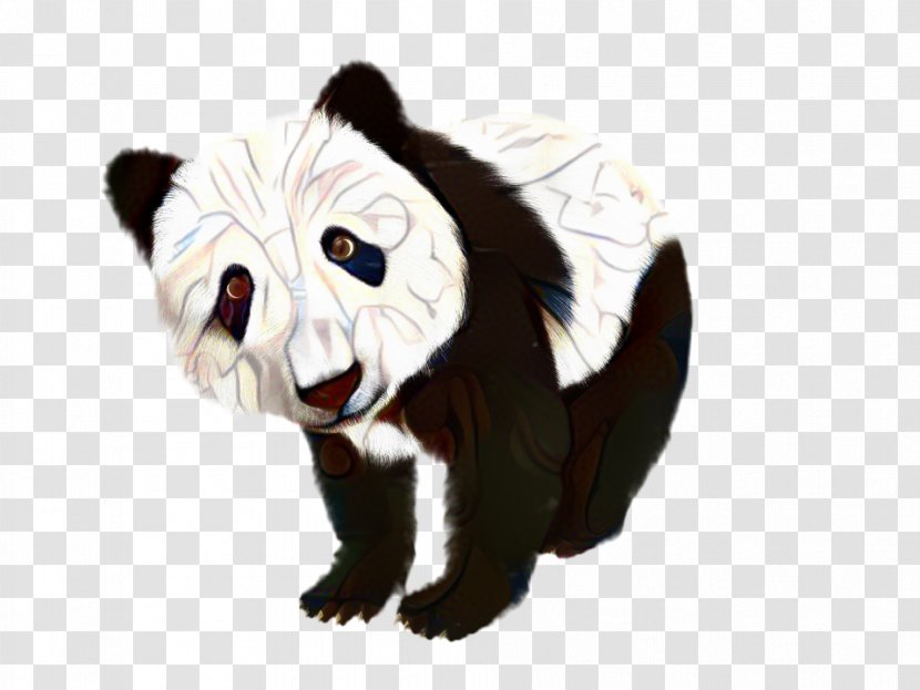 Bear Cartoon - Panda - Fur Animation Transparent PNG