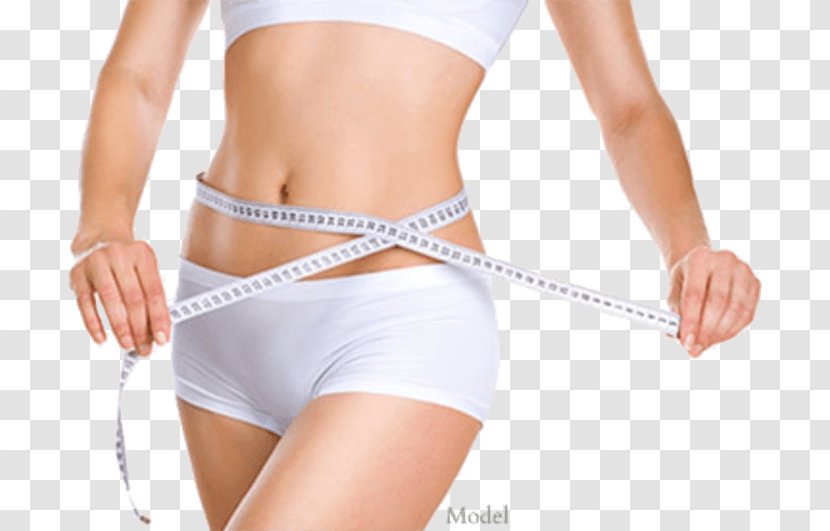Weight Loss Non-surgical Liposuction Adipose Tissue Female Body Shape - Heart - Tree Transparent PNG