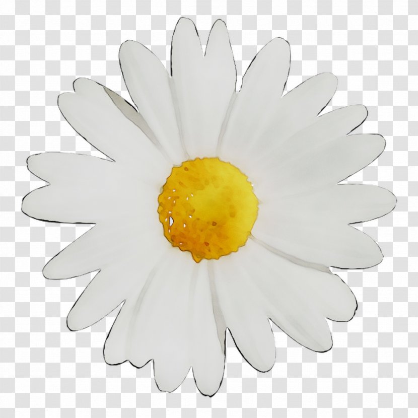 Clock Image Royalty-free Stock Photography Flower - Flowering Plant Transparent PNG