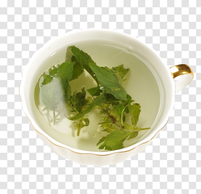 Green Tea Maghrebi Mint - Vegetarian Food - Cup Of And Leaves Transparent PNG