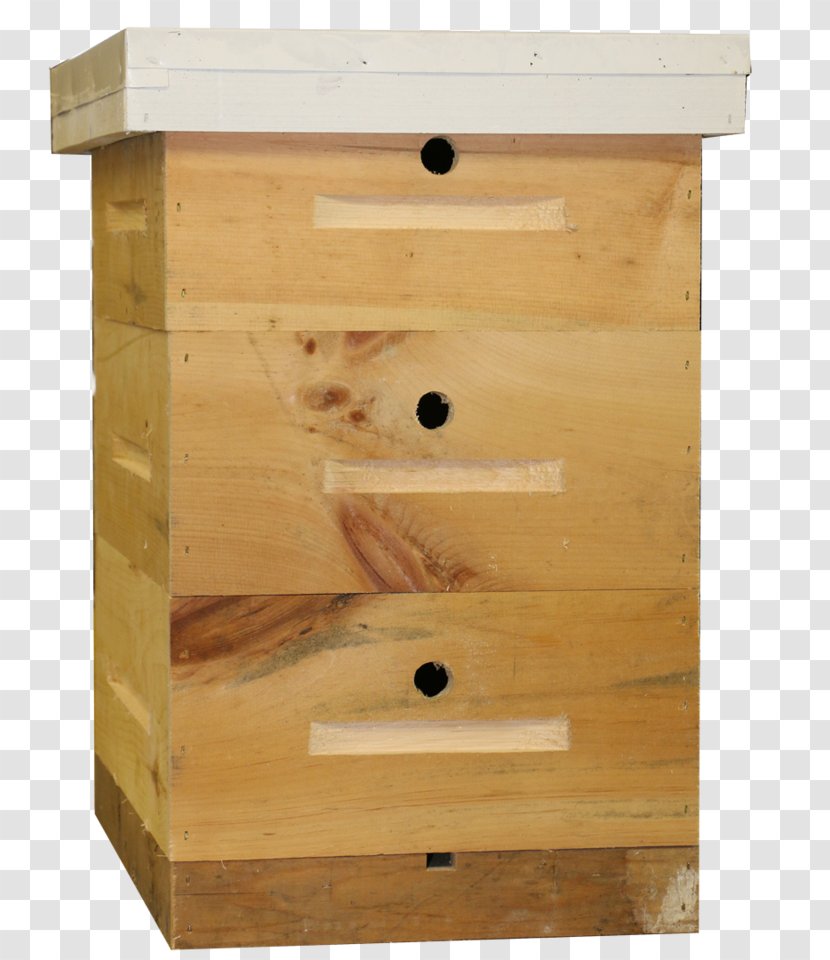 The Observation Hive Drawer Wood Stain Beekeeping Plywood - Birdhouse Transparent PNG