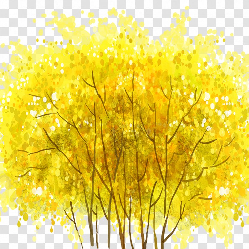 Yellow Green - Mustard - Autumn Season Transparent PNG