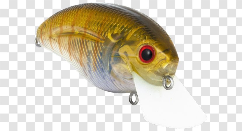 Marine Biology Perch Fish AC Power Plugs And Sockets - Plug - Northern Pike Transparent PNG