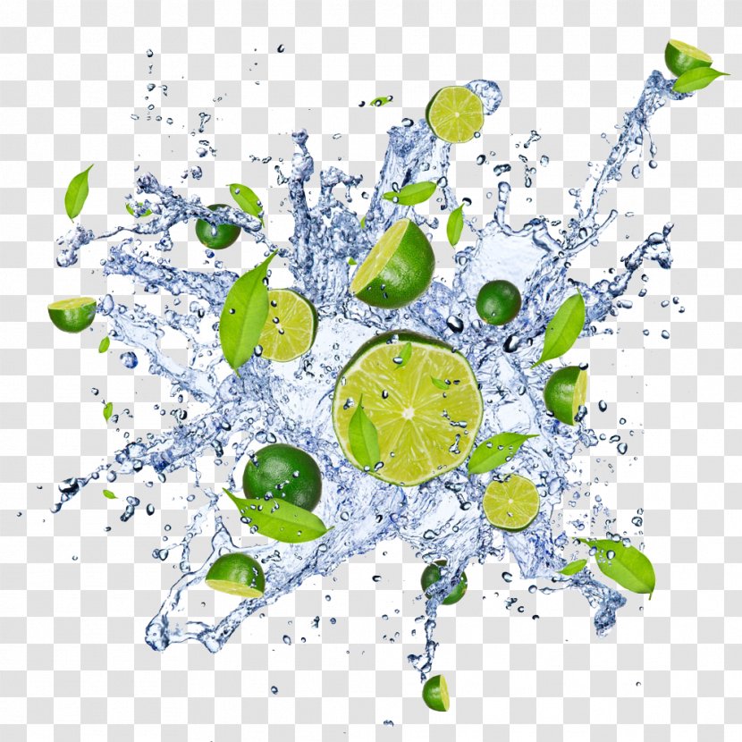 Water Stock Photography Key Lime Lemon - And Transparent PNG