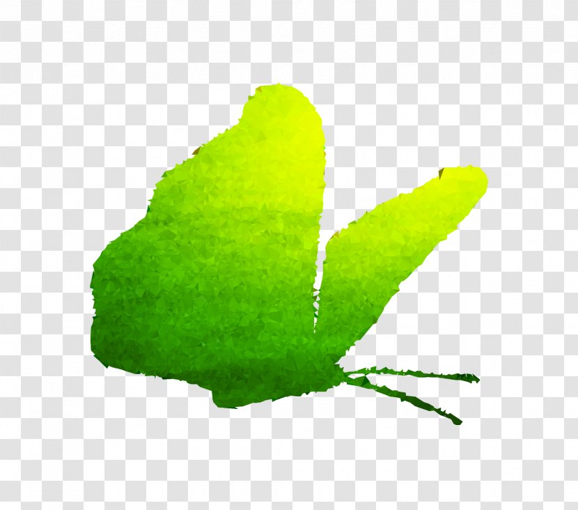 Leaf Plant Stem Plants - Green Transparent PNG