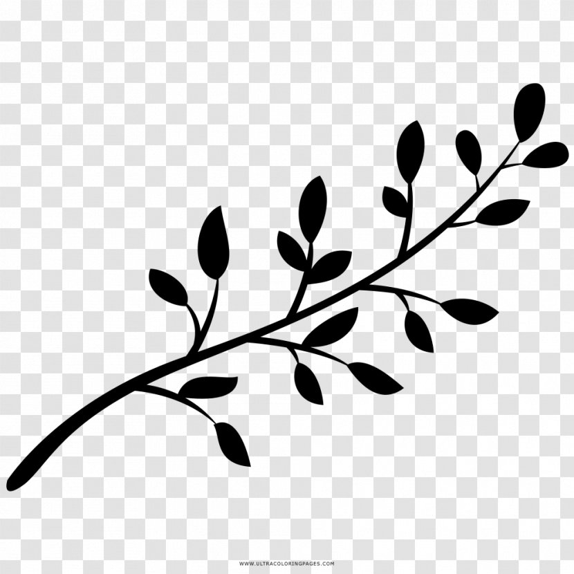 Twig Branch Tree Drawing - Coloring Book Transparent PNG