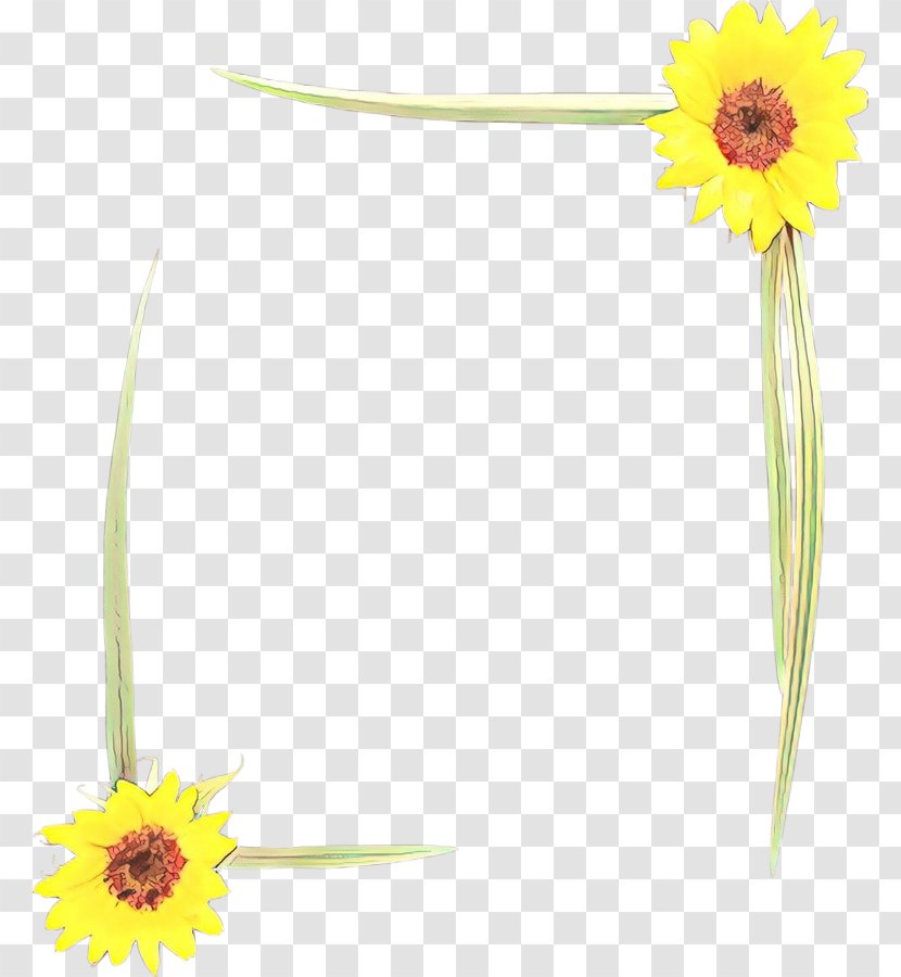 Sunflower - Flower - Flowering Plant Daisy Family Transparent PNG